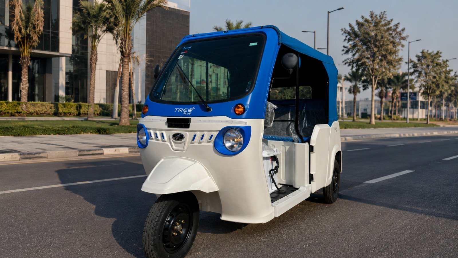 Standard E-Rickshaw